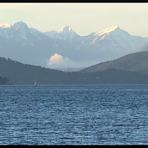 Meet your Posher, Anita